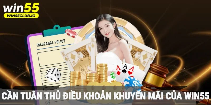 Hội viên cần tuân thủ điều khoản khuyến mãi của Win55
