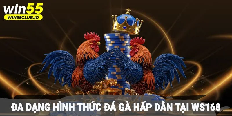 Đa dạng hình thức đá gà hấp dẫn tại WS168 Win55 