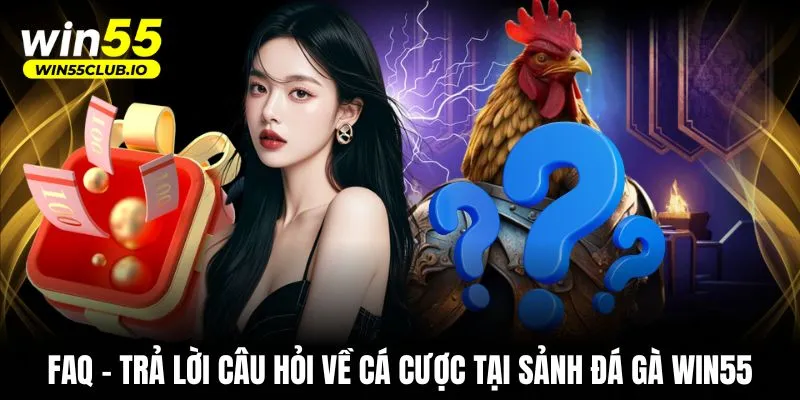 FAQ - Trả lời câu hỏi về cá cược tại sảnh đá gà WIN55
