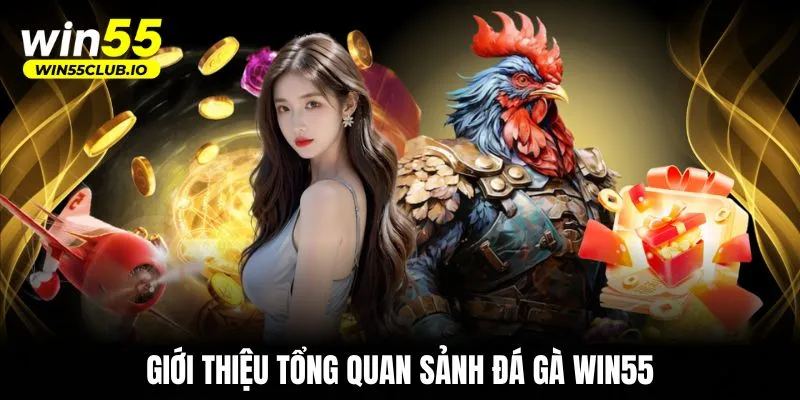 Giới thiệu tổng quan sảnh đá gà WIN55